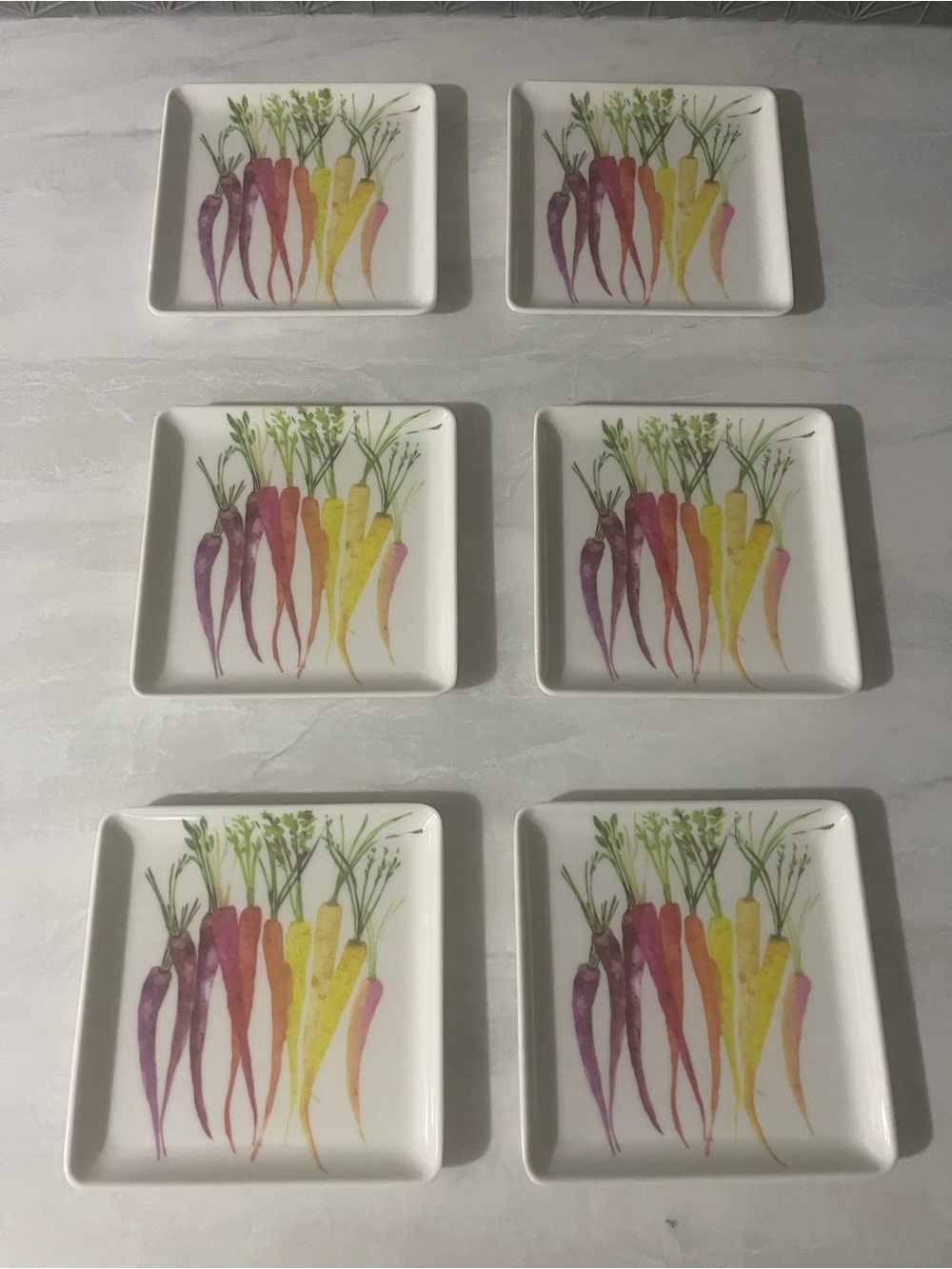 Set of 6 "The Farmhouse" by Rachel Ashwell Rainbow Carrot Square Plates